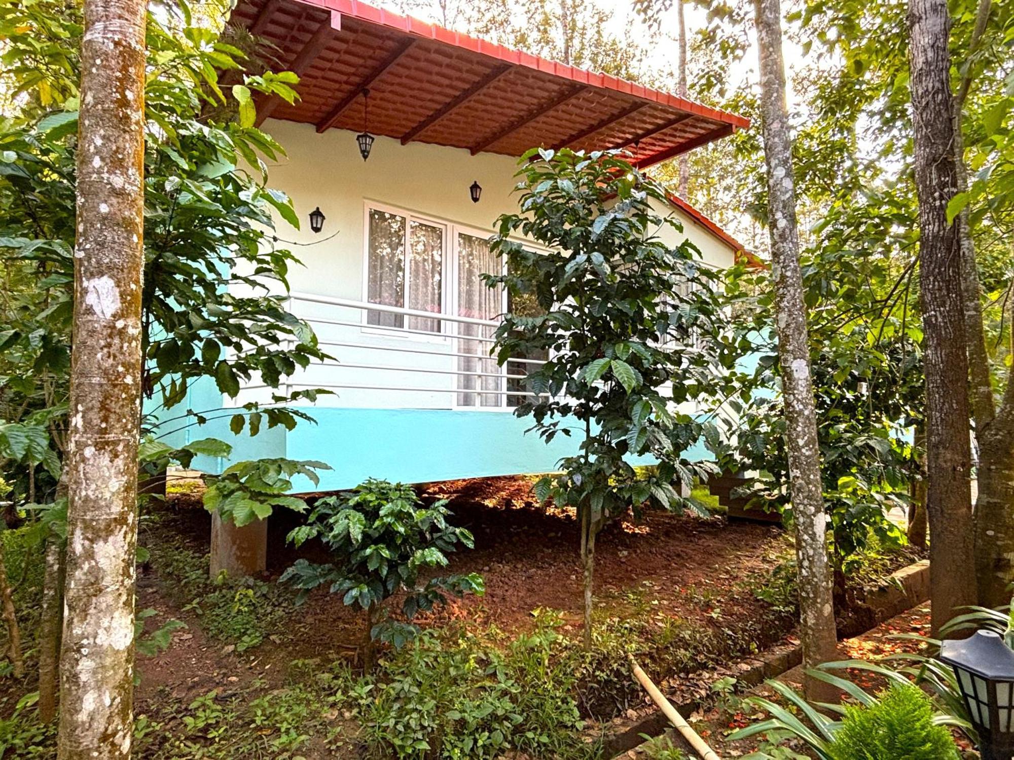 Ecstasy Tent Stay With Swimming Pool & Common Washroom Чикмагалур Экстерьер фото